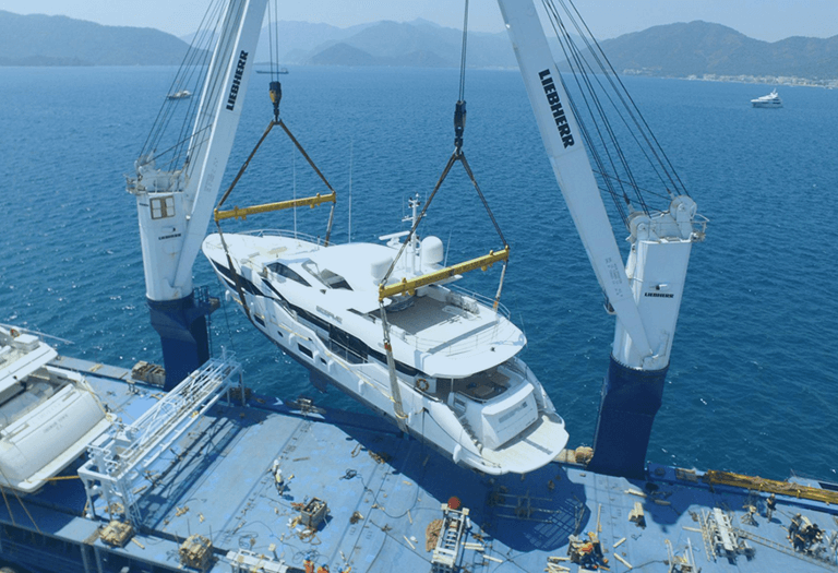Purchase and Transport Surveys